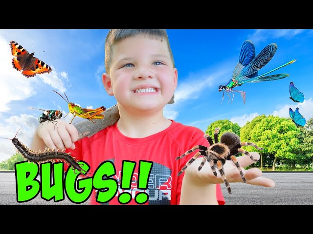 CALEB and AUBREY PLAY and FIND REAL BUGS OUTSIDE! Caleb PRETEND PLAY FUN!