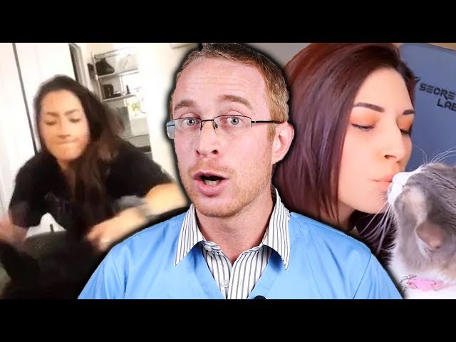 Veterinarian Reacts to Brooke Houts and Alinity Animal Abuse Videos | The Rewired Soul