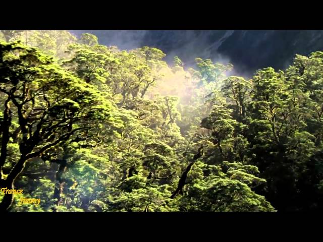 DJ Gard The Last Sunrise (Extended Edit) [Trance Nature Recordings]