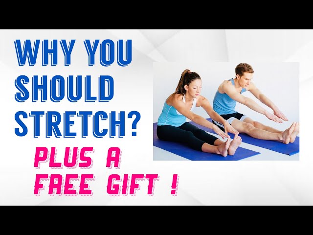 Why You Should Stretch!