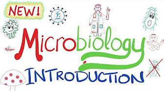 Microbiology & Infectious Diseases