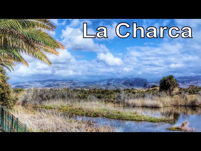 La Charca - Maspalomas, Gran Canaria | RotWo