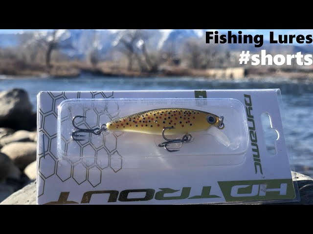 The Best Trout Fishing Lure!
