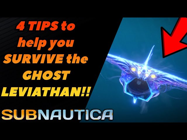 4 TIPS to Remember when DEALING with a GHOST LEVIATHAN