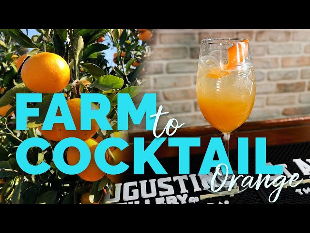 Farm to Cocktail: Orange Edition