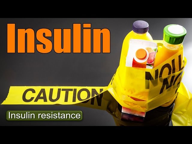 How To Treat Insulin Resistance