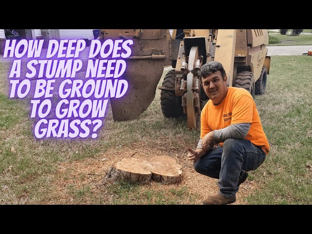 How deep does a stump need to be ground to grow grass?