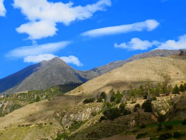 De Los Andes - Caminos Del Sur