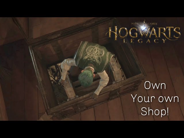 Hogwarts Legacy PS5 - Shop Quest (Playstation 1 Year Exclusive Quest)