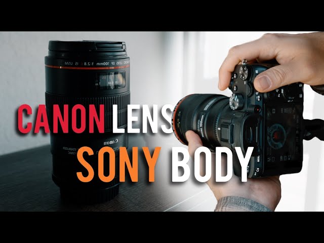 Shooting Macro Photography - Canon lens on a Sony Camera?