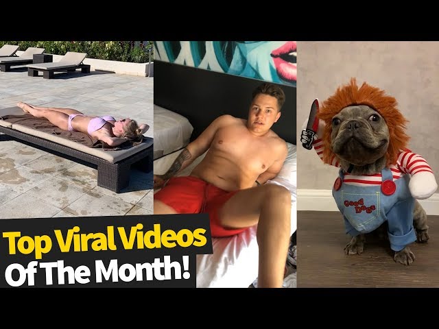 50 Best Viral Videos Of The Month - September 2019 (Top Virals)