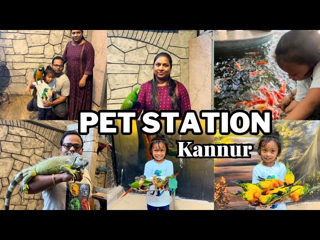 Pet Station Kannur | Maattool | Part 1 | Canadian Diaries | Malayalam vlog