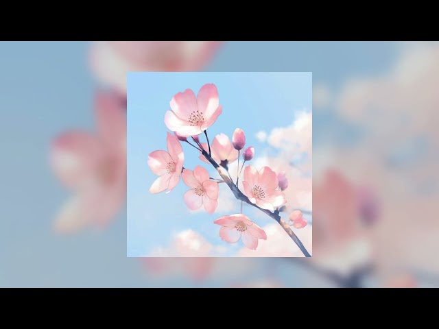 Blossom - Enhypen // sped up