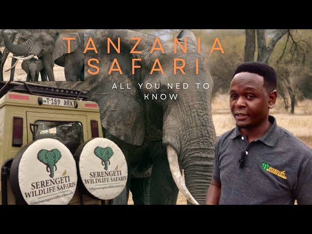 Exploring the Tarangire National Park: Secrets to an Unforgettable Adventure in Tanzania