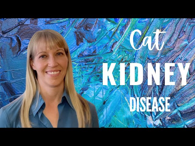 Feline Kidney Disease
