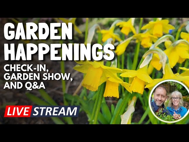 🤔 Live | Garden Happenings - Checking In and More #Live #garden