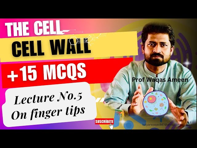 Cell wall|The Cell|Cell wall function and composition #Cell wall#The cell#subscription#Cell wall