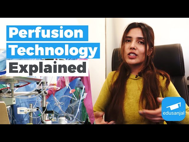 Perfusion Technology Explained | Introduction, Role, Eligibility & Skills Required for Perfusionist
