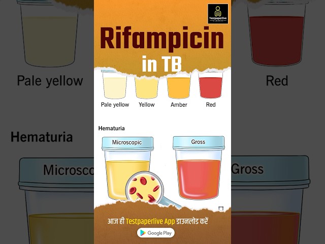 What is Rifampicin | Rifampicin in TB #rifampicin #nursing #testpaperlivenursing #shortvideo #aiims