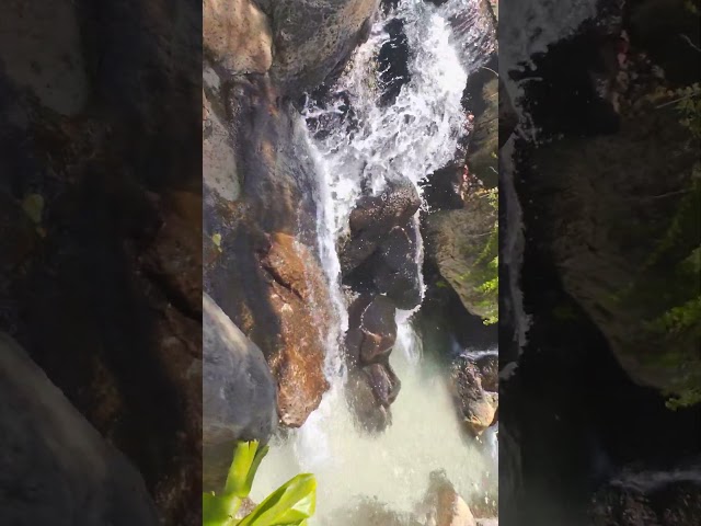 false falls waikiki