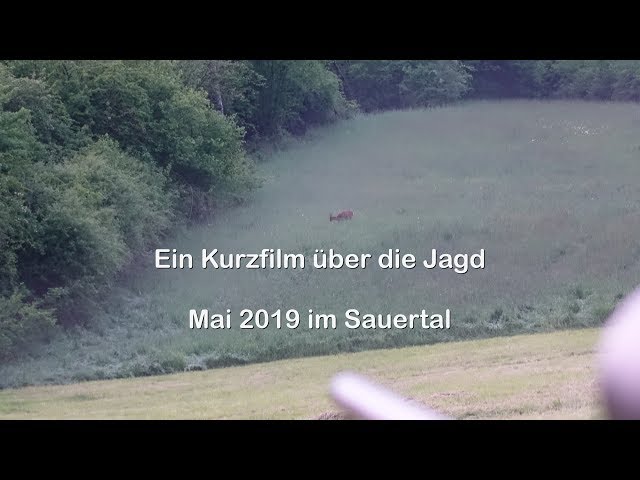 Ein Kurzfilm über die Jagd im Sauertal (Teaser Jagdtagebuch)