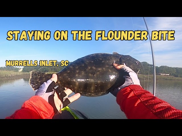 Epic Flounder Fishing with 5" Zman Lure in the Creeks of Murrells Inlet, SC