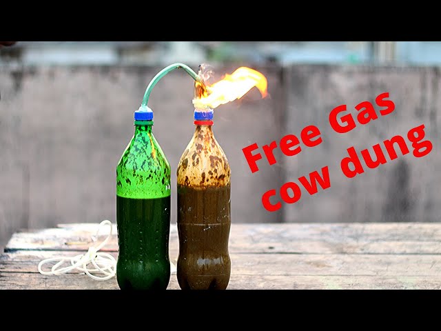 How To Make Free Biogas From Cow Dung - Most Powerful Way To Make Biogas