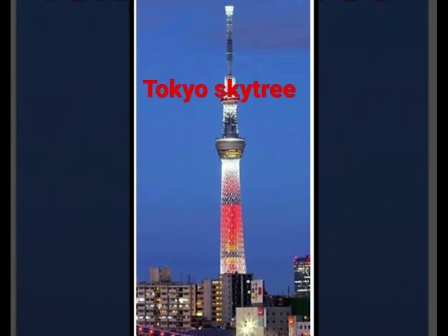 Tokyo skytree world’s tallest tower