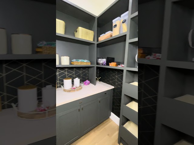 Walk In Pantry Custom Build On a Budget! #diy #pantry #diyprojects #pantrygoals