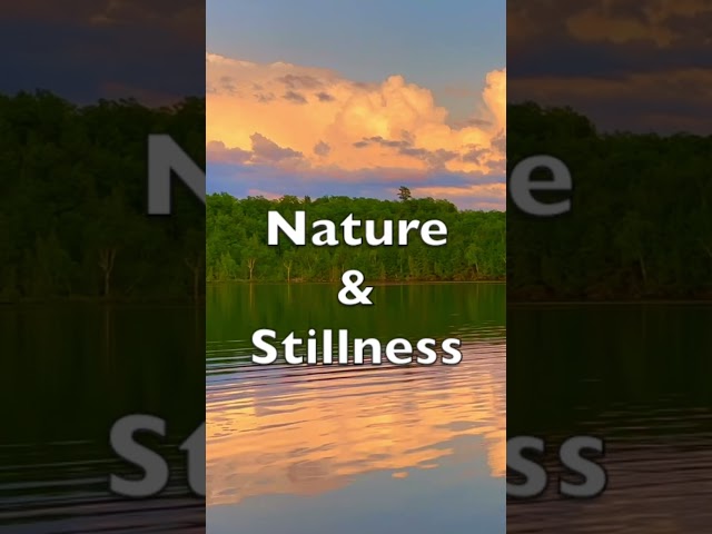 Stillness and Nature #peaceful #nature #screensaver