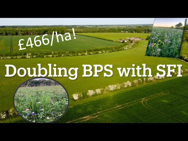 BenAdamsAgri - How to double BPS payment using the SFI