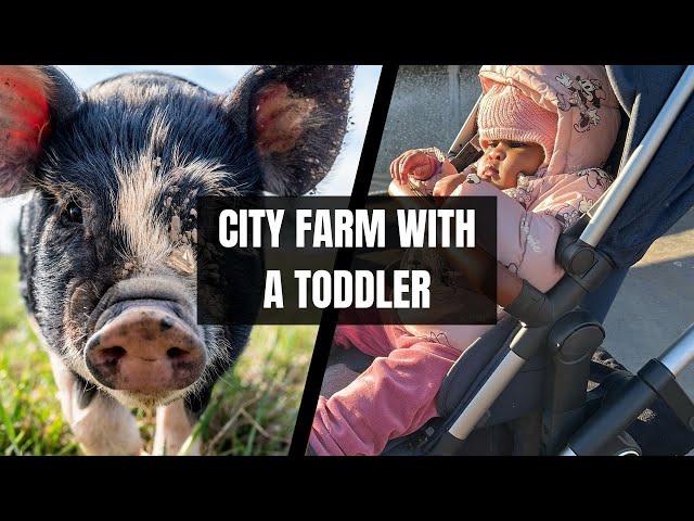 Fun at the City farm with a toddler