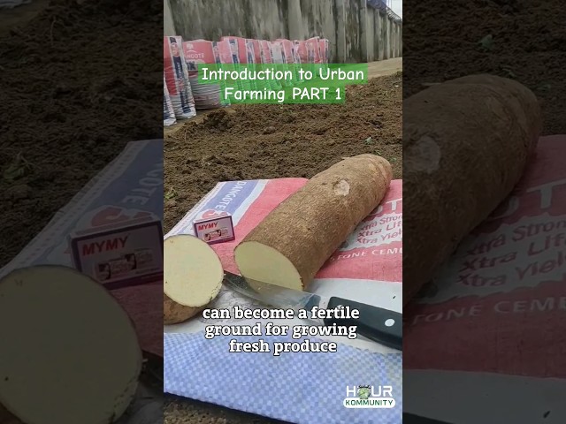 🤯 If this wasn't caught on cam, no one would have believed it. #urbanfarming #hourkommunity #shorts