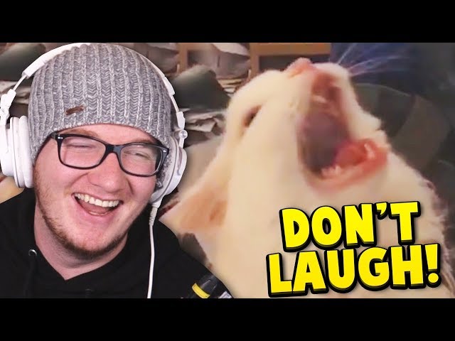 You LAUGH You SUBSCRIBE! (Try Not To Laugh #8)