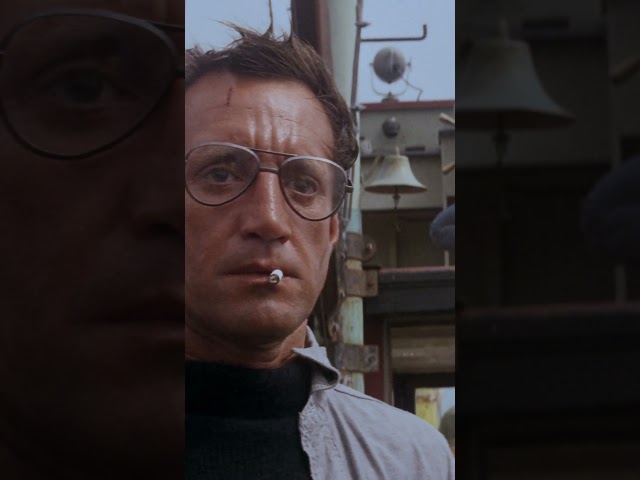 "You're going to need a bigger boat" #jaws #sharkattack #royscheider #shorts