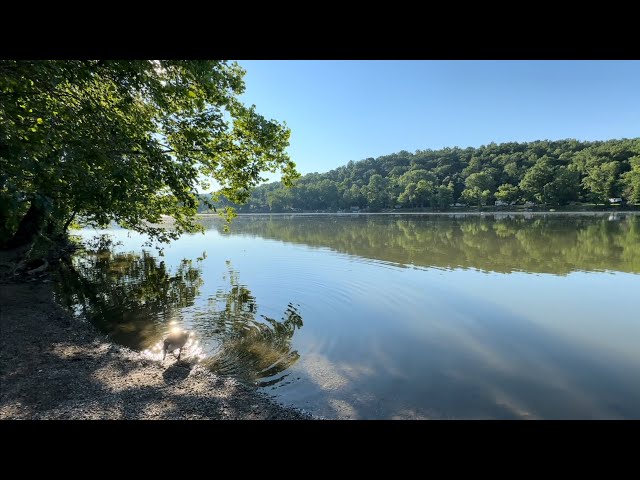 Pure Nature. Morning bliss on the Shenandoah River.