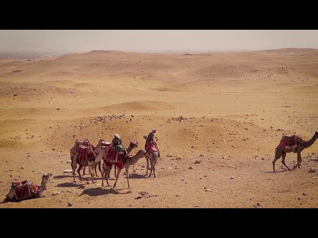 Download Dubai Desert Safari Videos Copyright free videos without watermark.