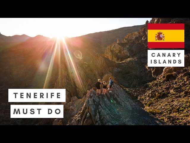 Watch This Before Planning Your Tenerife Trip | 🇪🇸Canary Islands Vlog 5