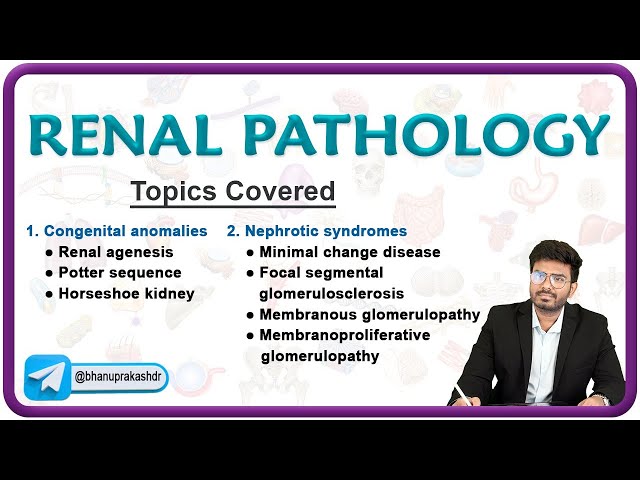 🌟 Exploring Renal Pathology: Congenital Anomalies & Nephrotic Syndromes 🌊