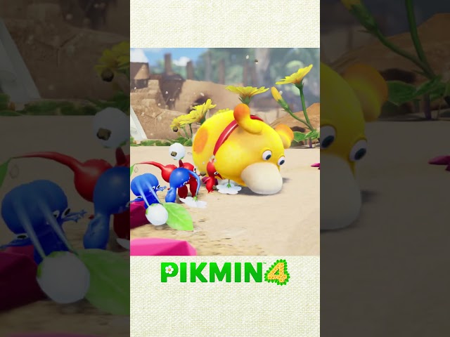 Pikmin 4 – Salutations estivales (Nintendo Switch)