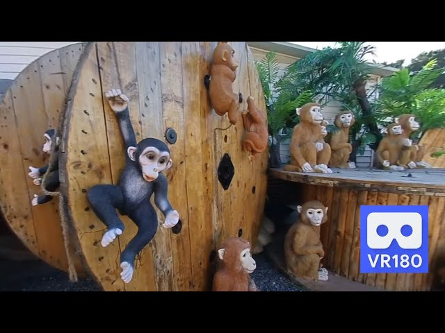 3D 180VR 4K Cute Monkey Family in Happiness Monkey Banana Village