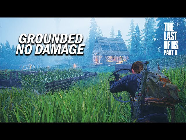 The Last of Us 2 Stealth kills - The Island ( Grounded+ / No Damage ) .