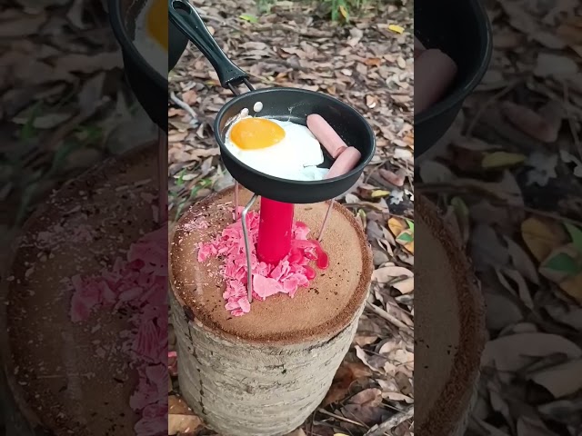 Use cooking skills in the forest #survival #cooking #capping #shorts 👍👍👍💯