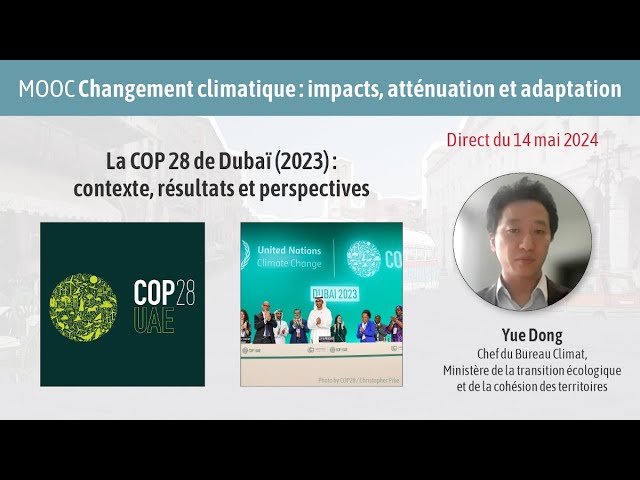 La COP 28 de Dubaï (2023) : contexte, résultats et perspectives / Yue Dong