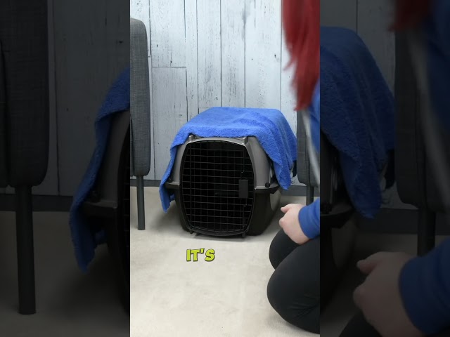Puppy Crate Training Secret