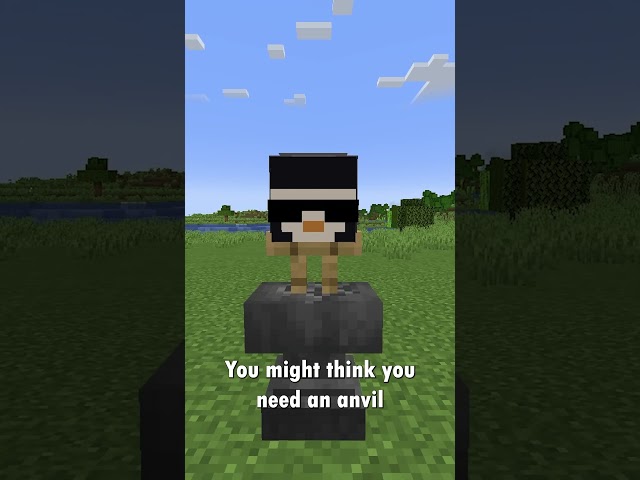Is this the RAREST thing? #minecraft #gaming #weird