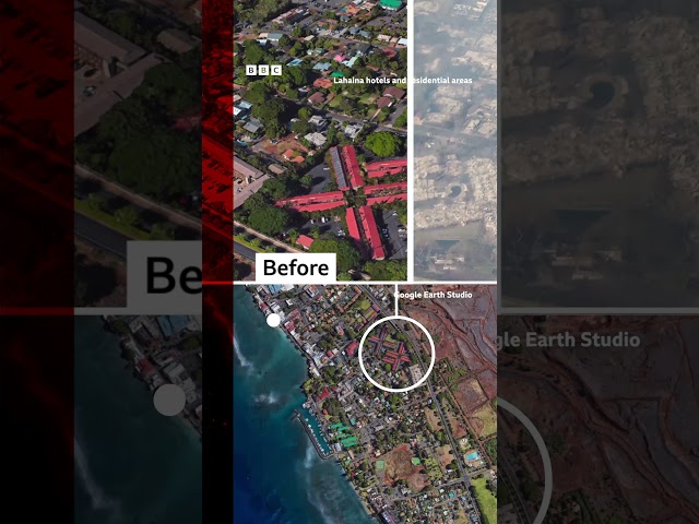 Maps and before and after images reveal Maui wildfire devastation. #Shorts #Hawaii #Maui #BBCNews