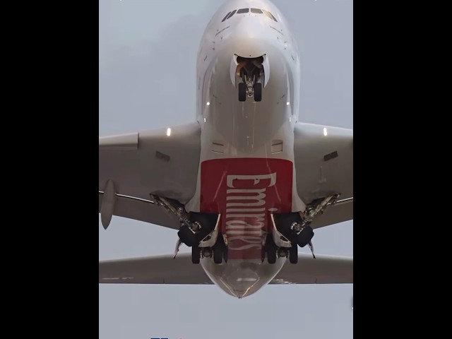 Very close takeoff the Emirates Airbus A380 #shorts #shortsfeed