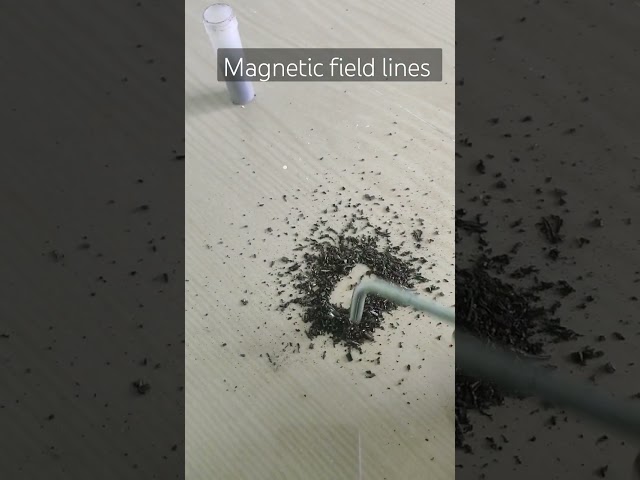 magnetic field lines magnetic 🧲🧭#scienceexperiment