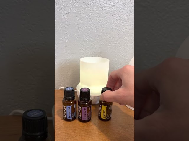 Sneezing, Sniffling, and Suffering? Try These Essential Oils for Seasonal Relief